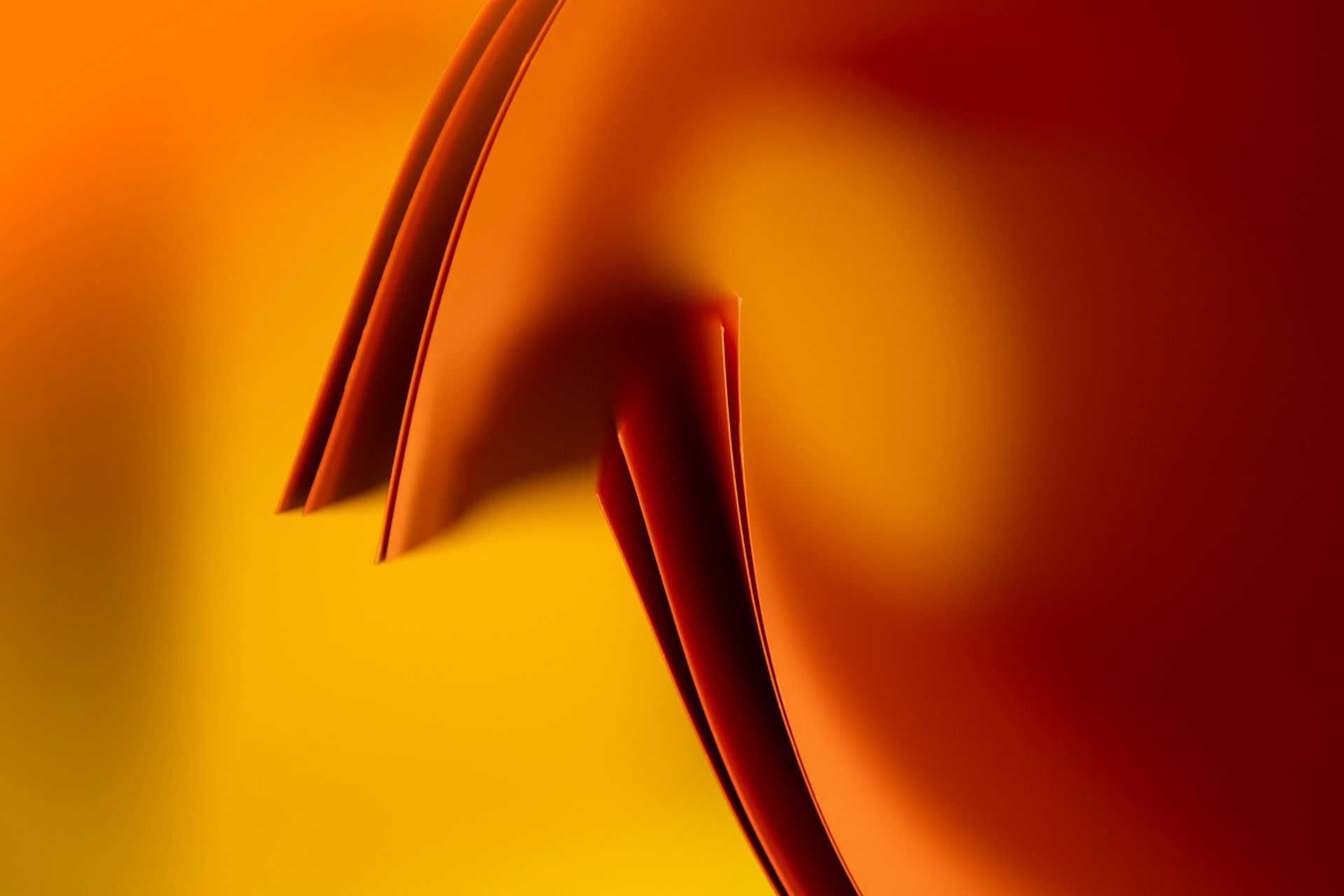 The Background